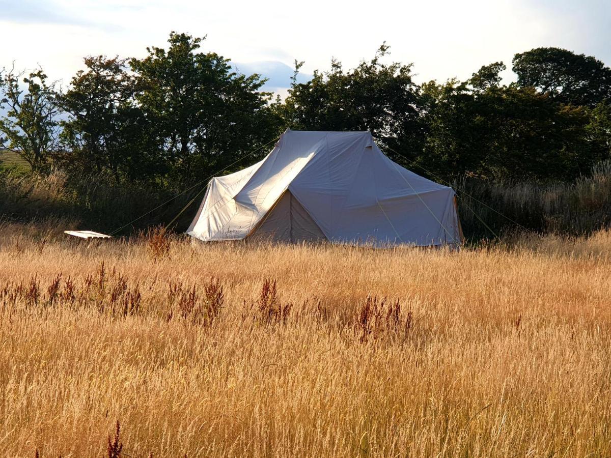 6M Emperor Tent Near Whitby With Log Burner Liverton Экстерьер фото